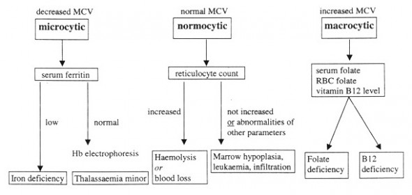 anaemia