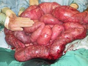 Toxic_Images_clip_image005