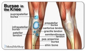 bursitis-of-knee