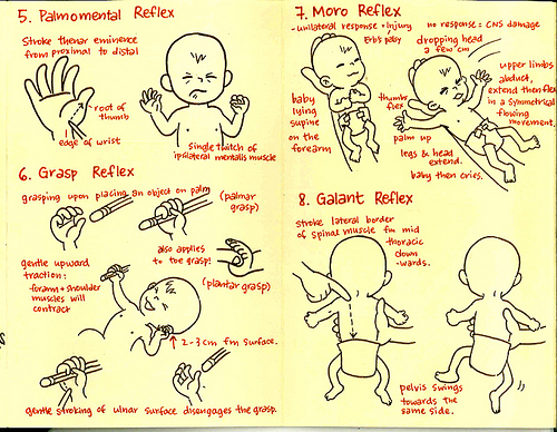 primitive reflexes 2