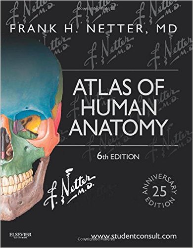 Netter Atlas Of Human Anatomy