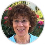 Sue Edmondson Physician Assistant Essay Collaboratve