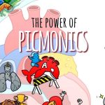 The Power of Picmonics Plus Get 20% OFF!