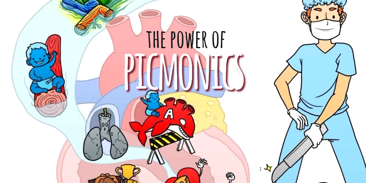 The Power of Picmonics | The Physician Assistant Life