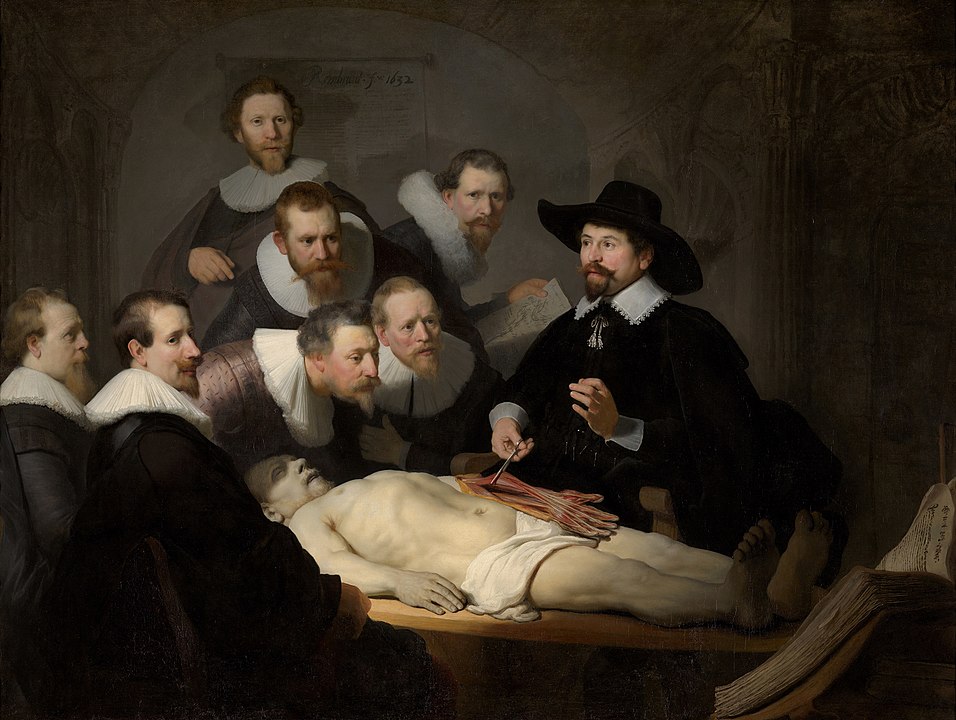 Rembrandt The Anatomy Lesson of Dr Nicolaes Tulp | The Physician Assistant Life Rembrandt The Anatomy Lesson of Dr Nicolaes Tulp