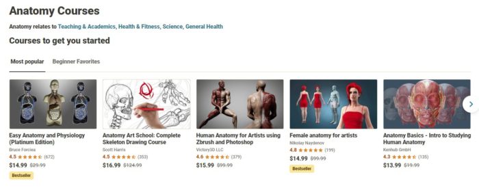 AnatomyCoursesonUdemy1 | The Physician Assistant Life