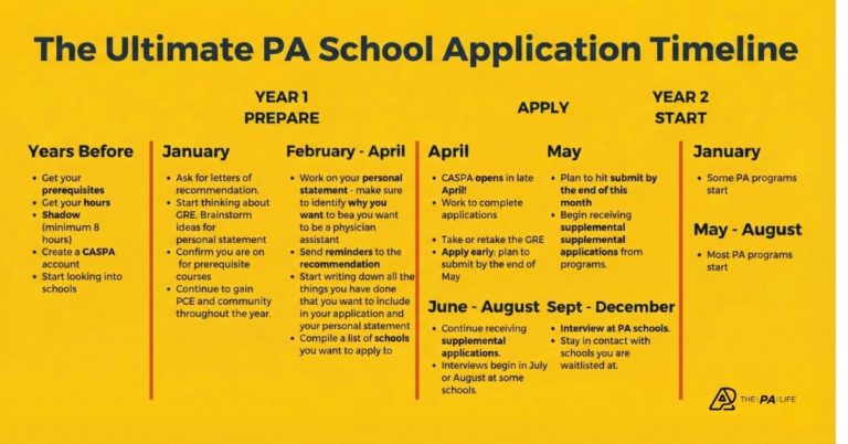 The Ultimate PA School Application Timeline | The Physician Assistant Life