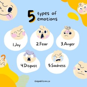 Thefivetypesofemotions | The Physician Assistant Life