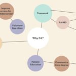 Mind Mapping: A Tool for Personal Statements, Supplemental Essays, and Interviews